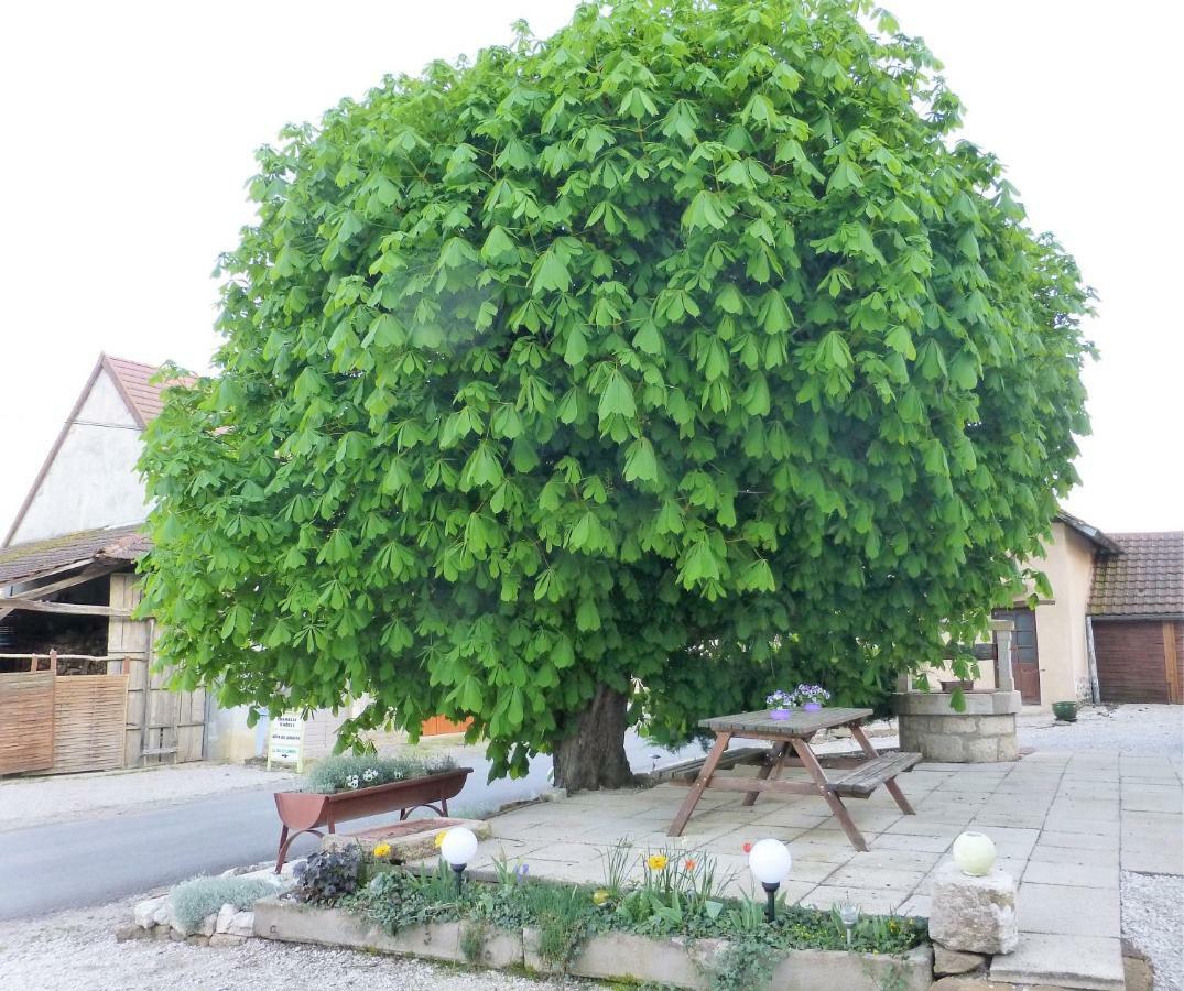Chambres D'Hote Le Marronnier Champrougier Zewnętrze zdjęcie